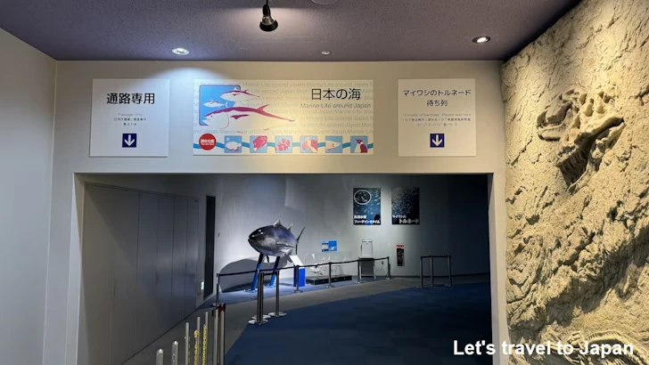 日本の海エリア：名古屋港水族館南館の見どころ(1)