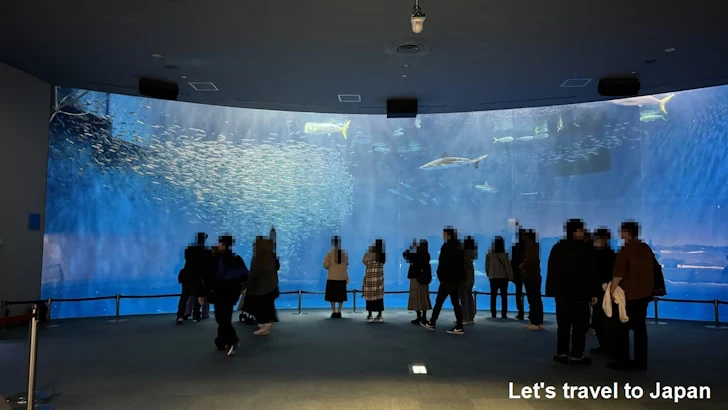 日本の海エリア：名古屋港水族館南館の見どころ(2)
