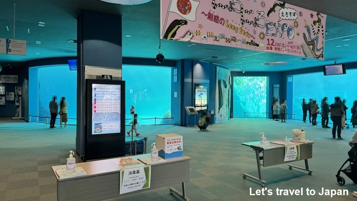 シャチのプール：名古屋港水族館北館の見どころ(1)