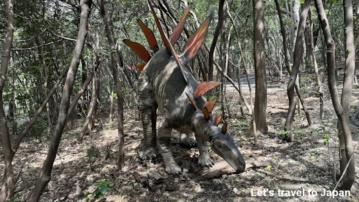 ステゴサウルス：ディノアドベンチャー名古屋の見どころ(3)