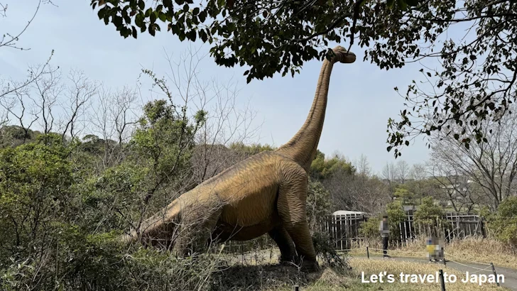 ブラキオサウルス：ディノアドベンチャー名古屋の見どころ(4)