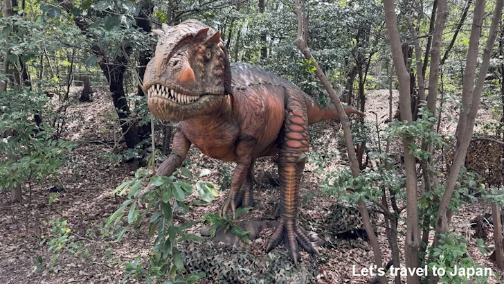 アロサウルス：ディノアドベンチャー名古屋の見どころ(4)