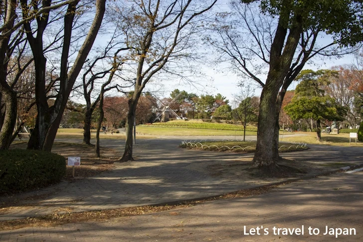 名城公園：名古屋城の見どころ(115)