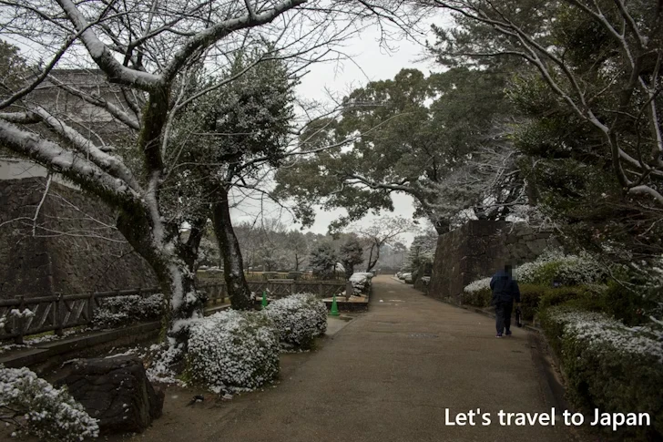 名古屋城の雪景色：名古屋城の見どころ(175)