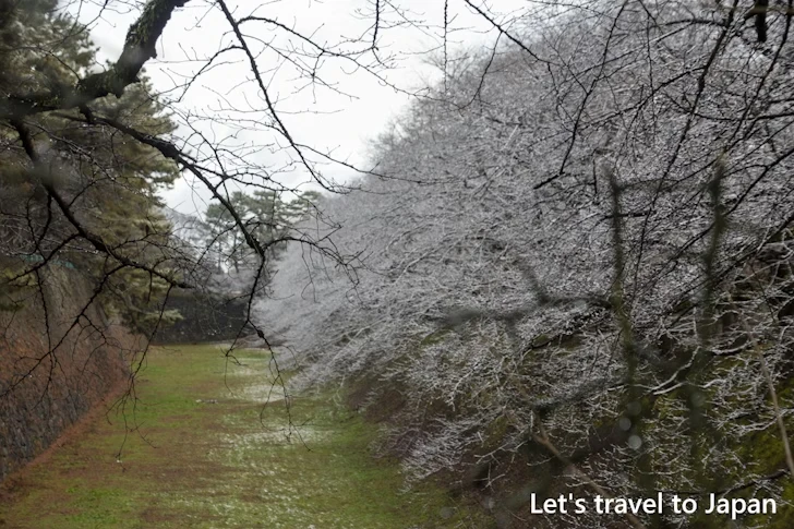 正門から本丸表二之門までの雪景色：熱田神宮の雪景色の見どころ完全ガイド(2)