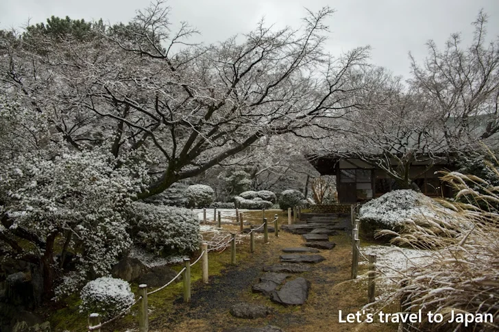 二之丸庭園の雪景色：熱田神宮の雪景色の見どころ完全ガイド(7)