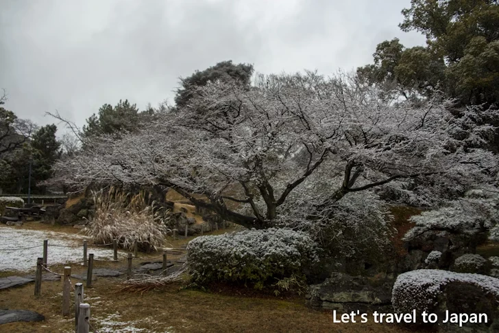 二之丸庭園の雪景色：熱田神宮の雪景色の見どころ完全ガイド(10)