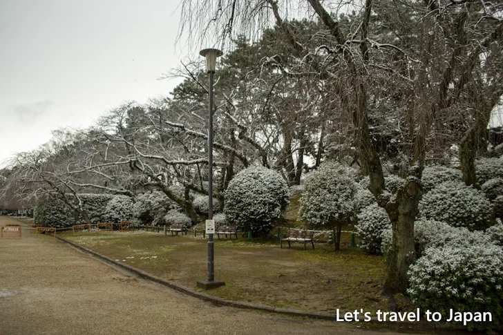 正門から本丸表二之門までの雪景色：熱田神宮の雪景色の見どころ完全ガイド(3)