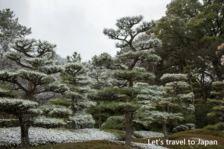 二之丸庭園の雪景色：熱田神宮の雪景色の見どころ完全ガイド(18)