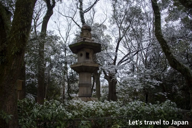 正門から本宮までの参道の雪景色：熱田神宮の雪景色の見どころ完全ガイド(10)