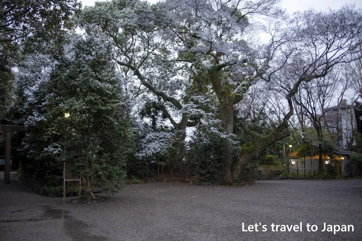 別宮八剣宮の雪景色：熱田神宮の雪景色の見どころ完全ガイド(6)