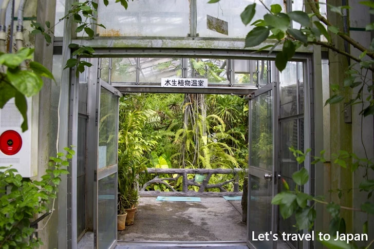 水生植物温室：東山植物園の見どころ(231)
