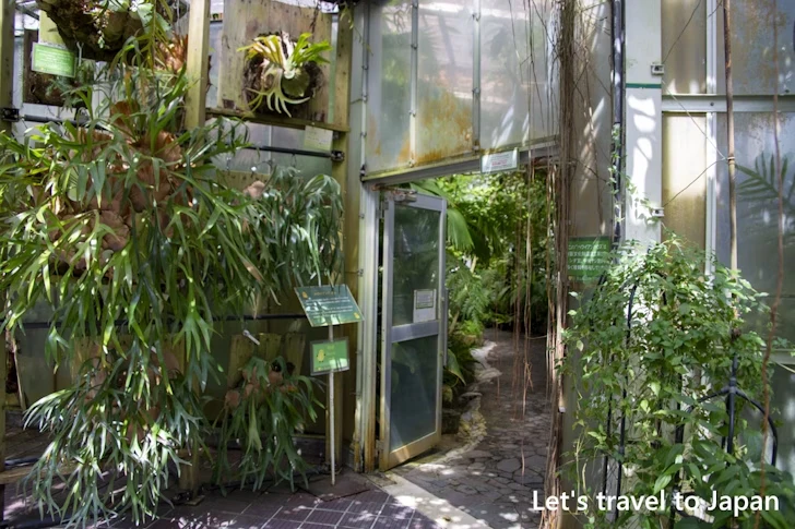 ハワイアンハウス：東山植物園の見どころ(248)