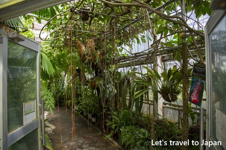 ハワイアンハウス：東山植物園の見どころ(249)