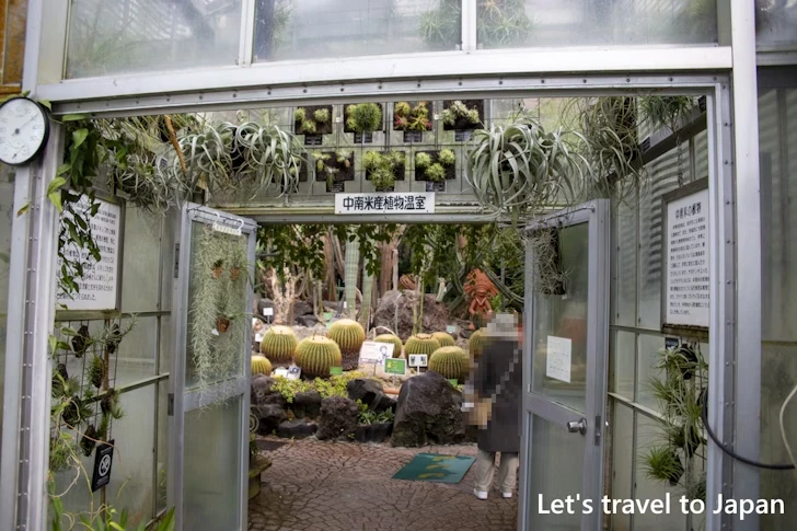 中南米産植物温室：東山植物園の見どころ(255)