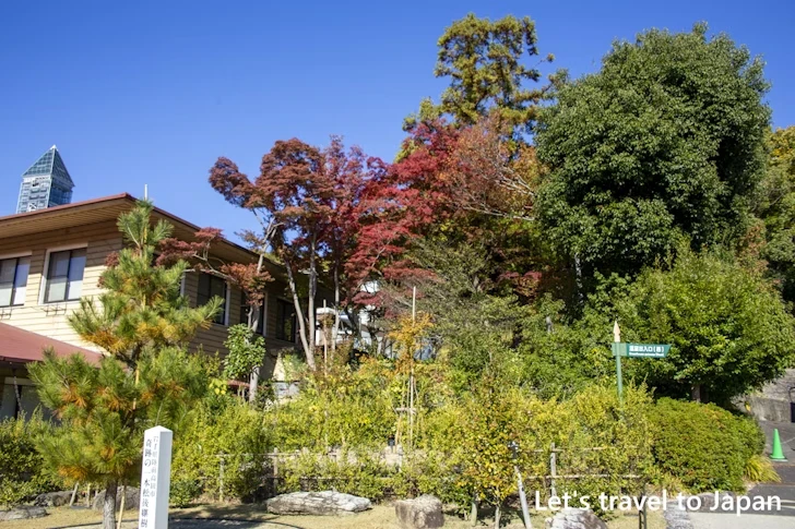 植物園の入り口から奥池まで：東山動植物園の紅葉の見どころ完全ガイド(2)