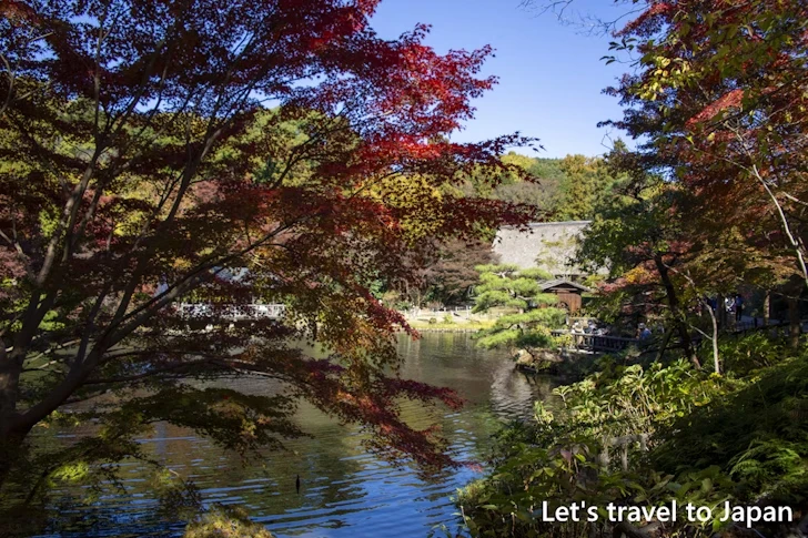 奥池あたりの紅葉：東山動植物園の紅葉の見どころ完全ガイド(25)