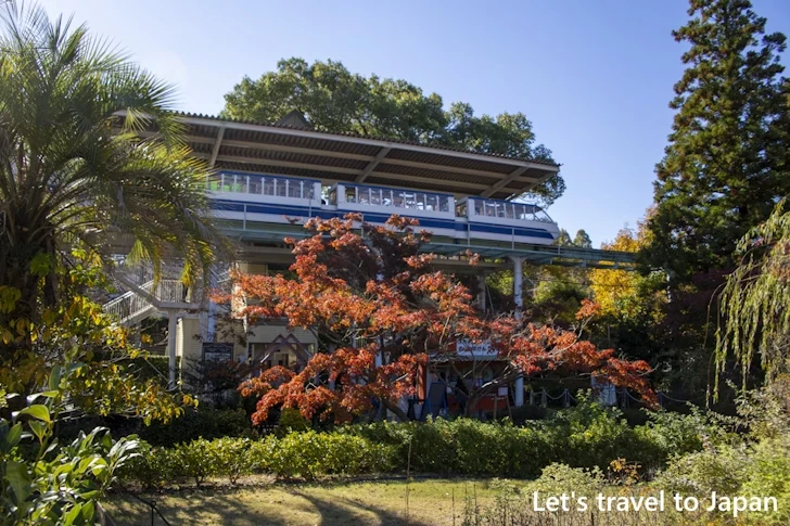 植物園の入り口から奥池まで：東山動植物園の紅葉の見どころ完全ガイド(3)