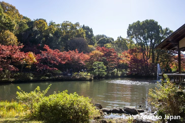 奥池あたりの紅葉：東山動植物園の紅葉の見どころ完全ガイド(38)