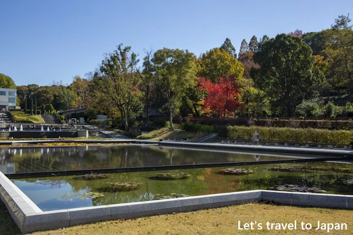 植物園の入り口から奥池まで：東山動植物園の紅葉の見どころ完全ガイド(4)