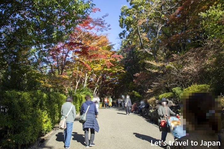 植物園の入り口から奥池まで：東山動植物園の紅葉の見どころ完全ガイド(7)