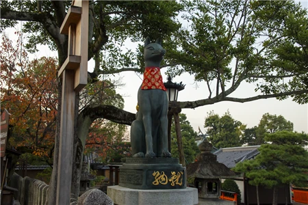 伏見稲荷大社(240)