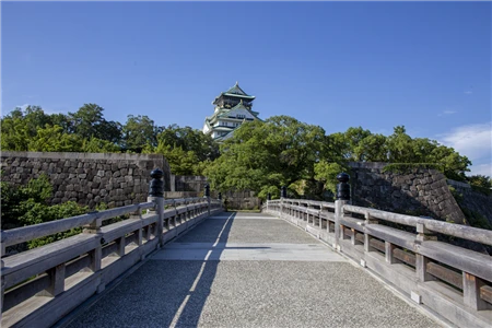 大阪城(810)