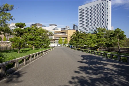 大阪城(828)