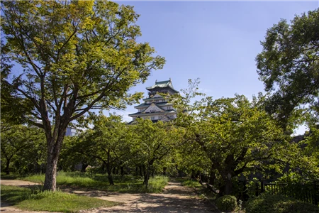 大阪城(869)