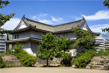 大阪城(895)