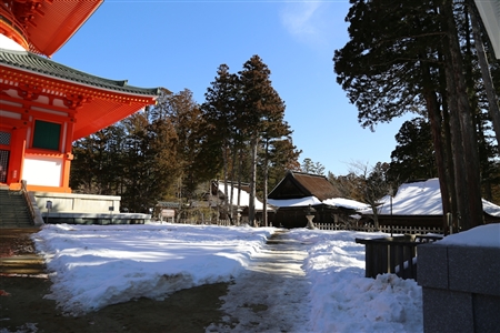 高野山の雪景色(40)