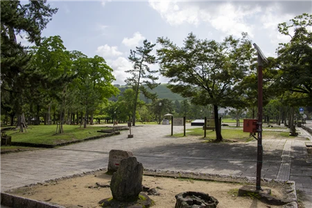 奈良公園(50)