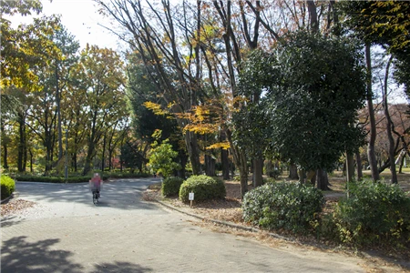 名城公園(49)