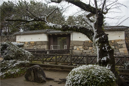 名古屋城の雪景色(85)