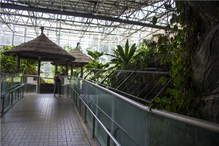 東山動植物園自然動物館(317)