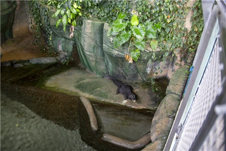 東山動植物園自然動物館(319)