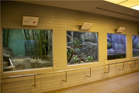 東山動植物園自然動物館(339)
