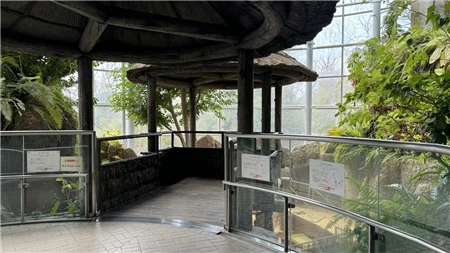 東山動植物園自然動物館(436)