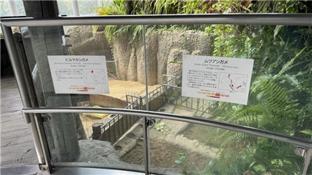 東山動植物園自然動物館(437)