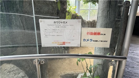 東山動植物園自然動物館(438)