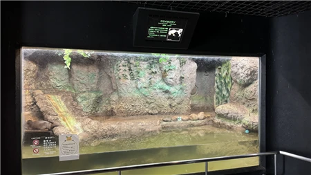 東山動植物園自然動物館(800)