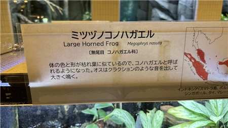 東山動植物園自然動物館(920)