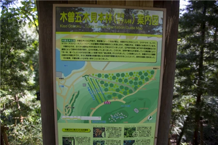 東山植物園(106)