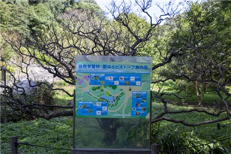 東山植物園(133)