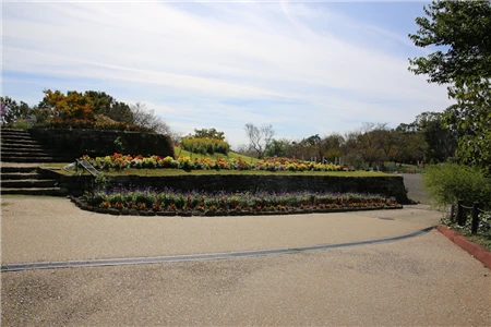 東山植物園(140)