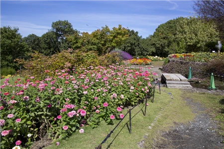 東山植物園(153)