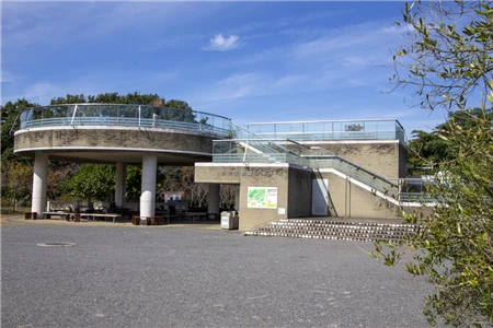 東山植物園(156)