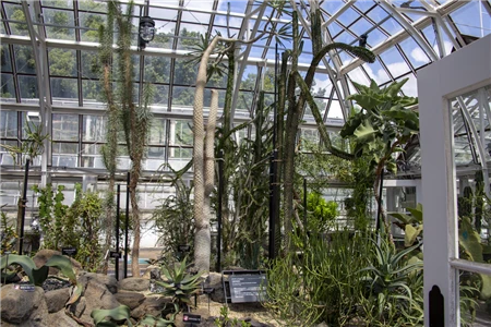 東山植物園(210)