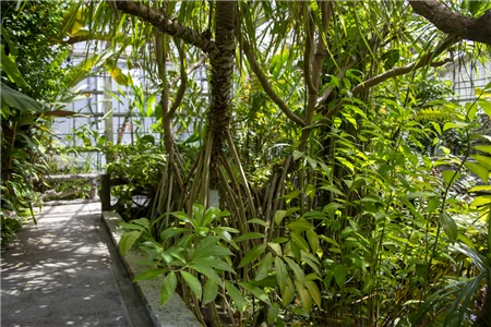 東山植物園(270)