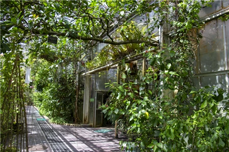 東山植物園(276)